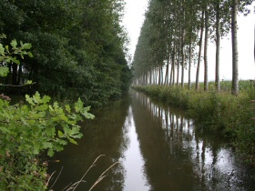 Der Kanal