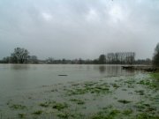 Hochwasser_14012011_17