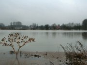 Hochwasser_14012011_20