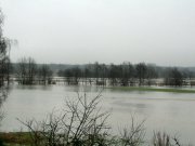 Hochwasser_14012011_23