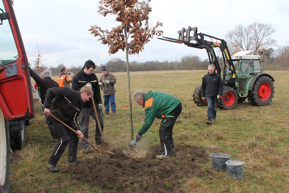 Fotogalerie von der Pflanzaktion des Heimatvereins von Eichen an der Lippe